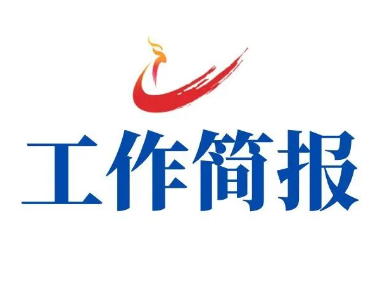 工作简报|2025年12月